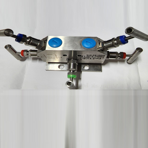 5 Way Manifold Valve Manufacturers in India