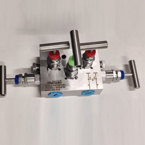 5 Way Manifold Valve Exporter